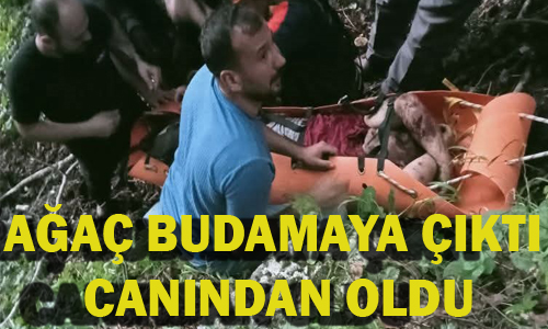 Hdrnebi Yaylas'nda aa budayan baba ve oul uurumdan yuvarland
