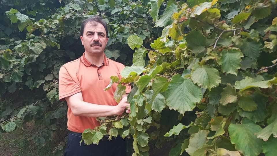 AK�AABAT Z�RAAT ODASI BA�KANLI�INDAN FINDIK  �RET�C�LER�NE A�USTOS AYI    ���N  UYARI!

