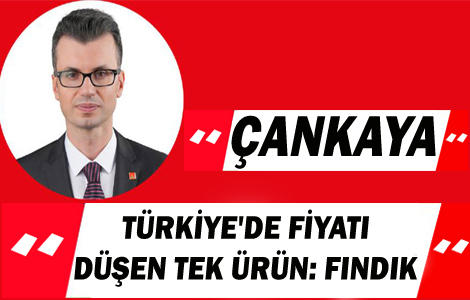 T�RK�YE'DE F�YATI D��EN TEK �R�N: FINDIK!
