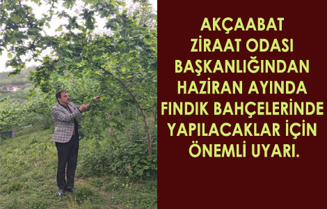 ' AKÇAABAT ZİRAAT ODASI BAŞKANLIĞINDAN HAZİRAN AYINDA FINDIK BAHÇELERİNDE YAPILACAKLAR İÇİN ÖNEMLİ UYARI!'