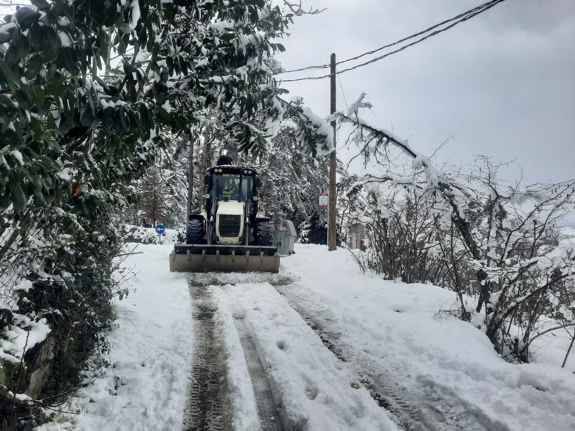 228 MAHALLE YOLU ULAIMA AILDI
