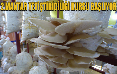 2.MANTAR YETİŞTİRİCİLİĞİ KURSU BAŞLIYOR