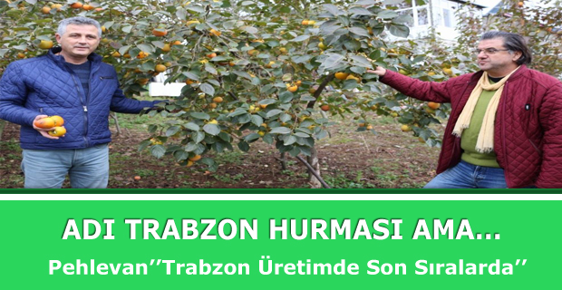 Ad Trabzon Hurmas ama...
