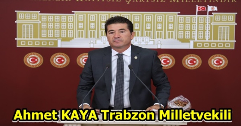 Ahmet Kaya Mecliste Konuştu