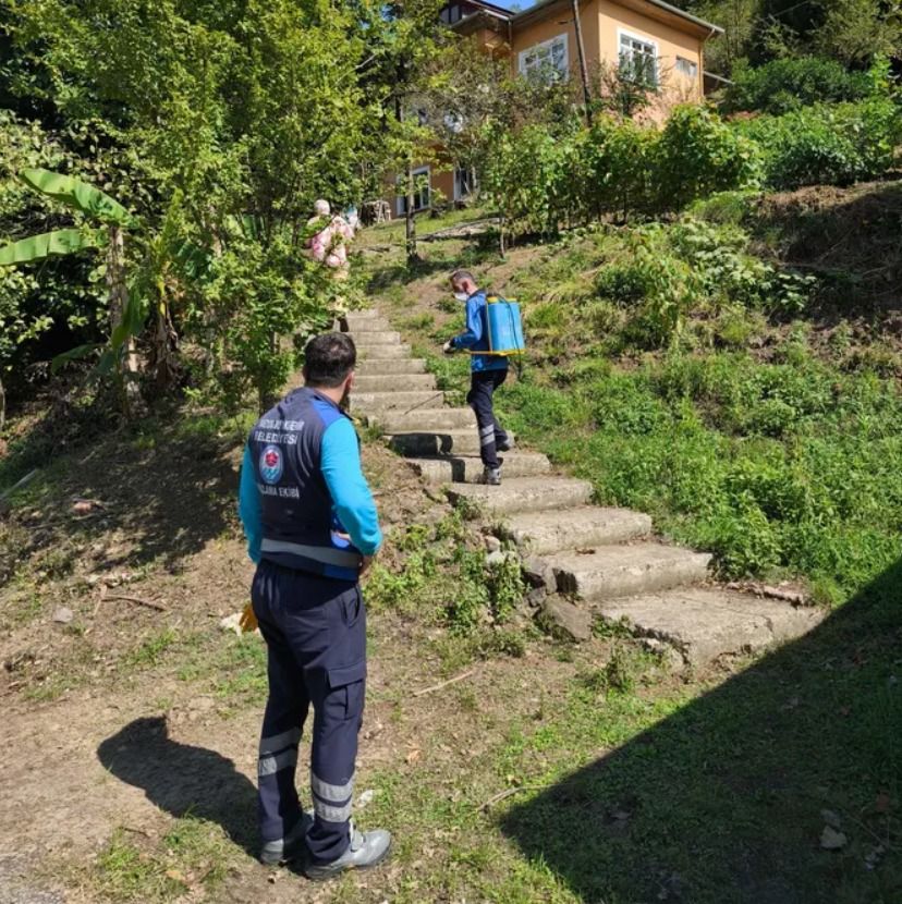 Akaabat mahalle mahalle ilalanyor
