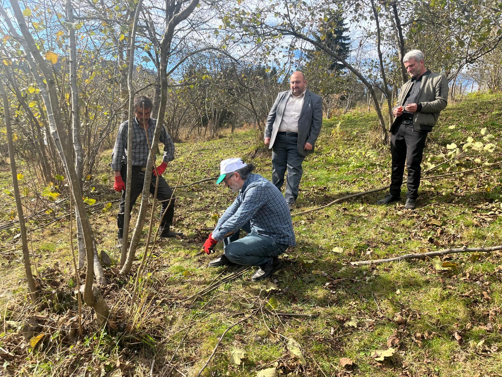 AKAABAT ZRAAT ODASI BAKANLIINDAN
DZKY LESNDE FINDIK RETCLERNE FINDIKTA BUDAMA ETM