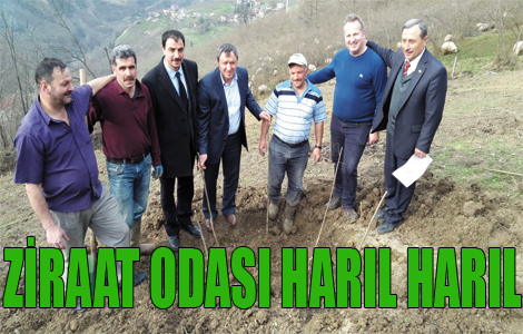 Akaabat Ziraat Odas Harl Harl alyor.