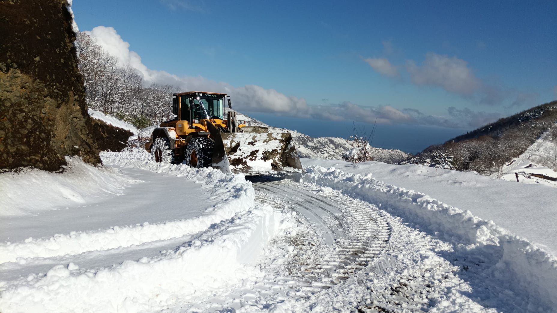 AK�AABAT�TA KARLA M�CADELEDE BA�ARILI KOORD�NASYON
