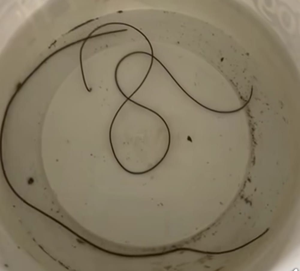 Akçaköy’de Musluktan Çıkan Canlı Cisim Şaşkınlık Yarattı!