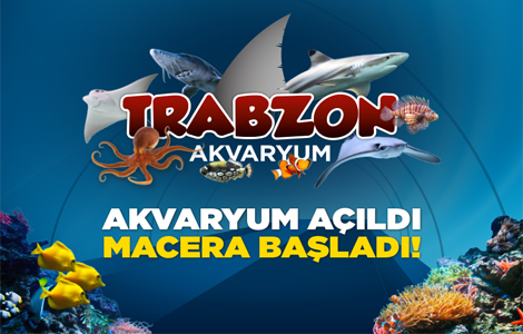 AKVARYUM AILDI