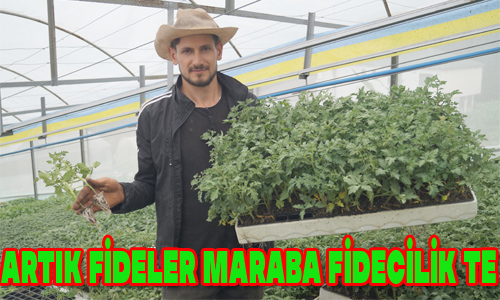 ARTIK FDELER MARABA FDECLK TE

