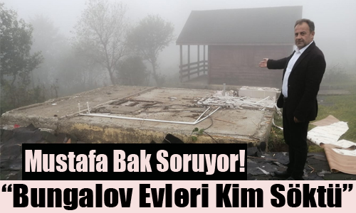 Bak, Bungalov Evleri Kim Skt
