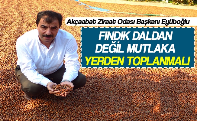 Bakan Eybolu, Fndk Daldan Deil Mutlaka Yerden Toplanmal
