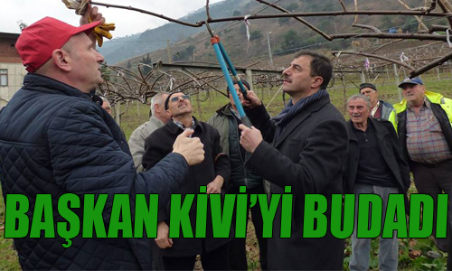 Bakan Kivi Bahesinde