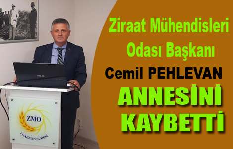 BAKAN PEHLEVAN ANNESN KAYBETT
