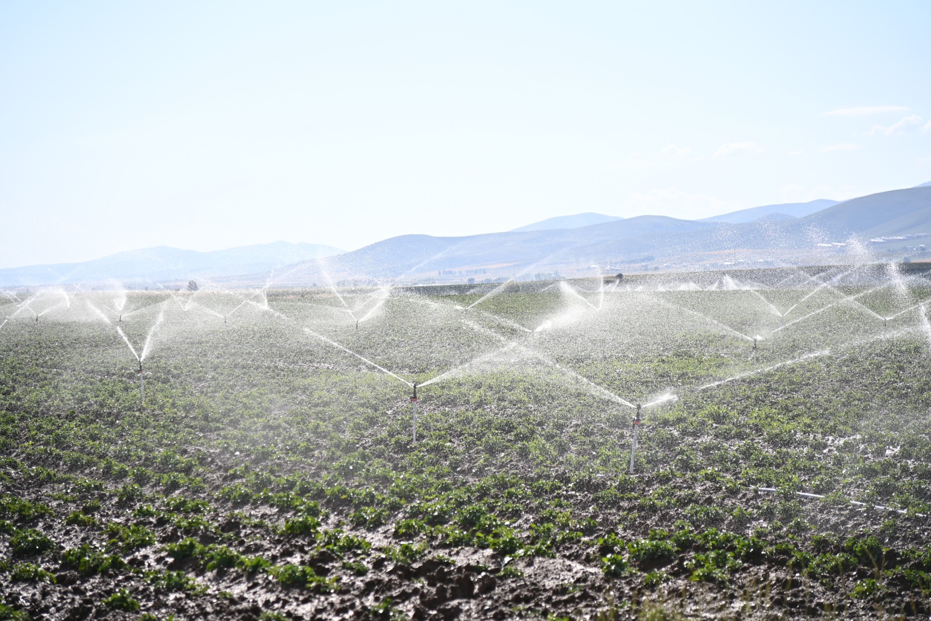 BAYBURT�UN BEREKETL� TOPRAKLARINI SU �LE BULU�TURUYORUZ


