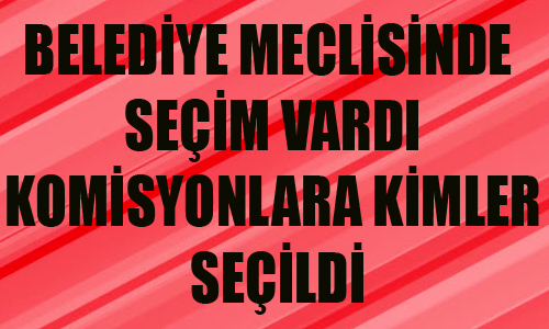 BELEDYE MECLS SEM YAPTI