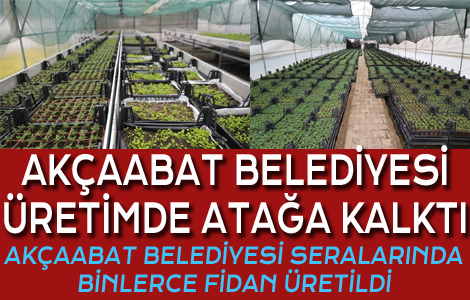 BELEDYE'DEN TERM ATAI