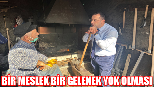 BR MESLEK BR GELENEK
