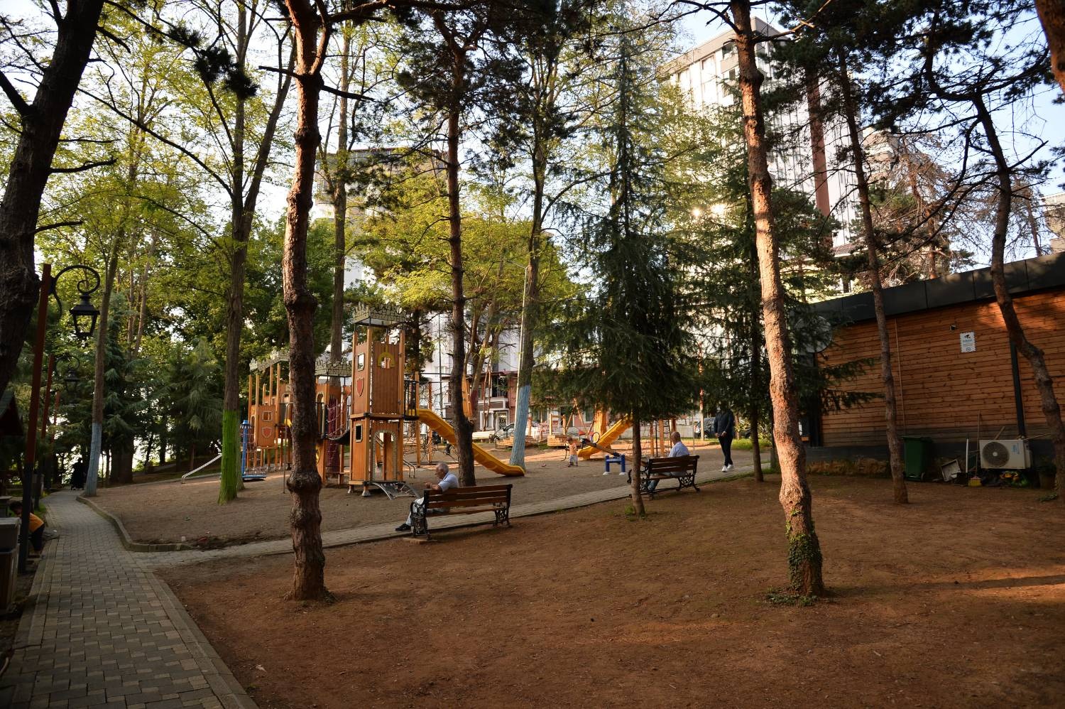 Boztepe Mahalle Muhtarı Yücel Kaplan, ağaç kesildiği iddialarını yalanladı.