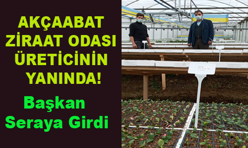 BU GURUR ZRAAT ODASININ 