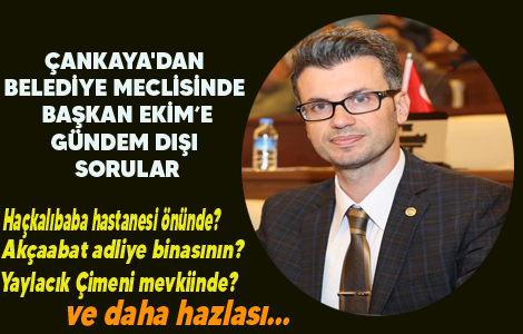 ANKAYA'DAN GNDEM DII SORULAR