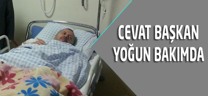 Cevat Hoca Youn Bakmda
