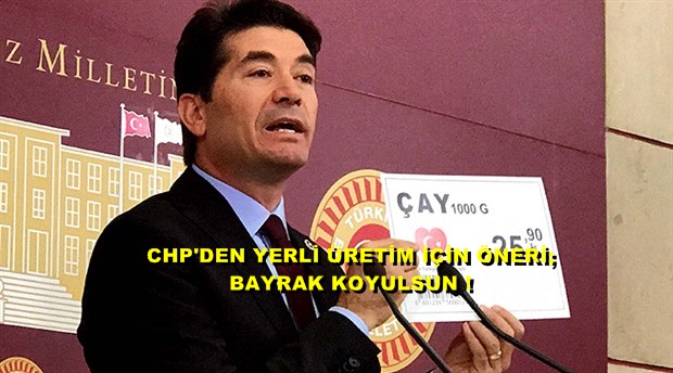 CHP'L KAYA'DAN NER