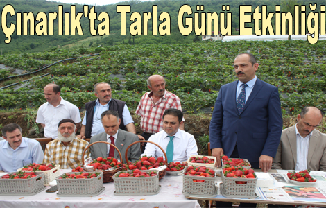 narlk'ta Tarla Gn Etkinlii
