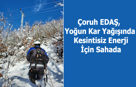 �oruh EDA�, Yo�un Kar Ya����nda Kesintisiz Enerji ��in Sahada


