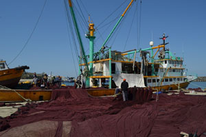 Denizlerde Av Sezonu Sona Erdi
