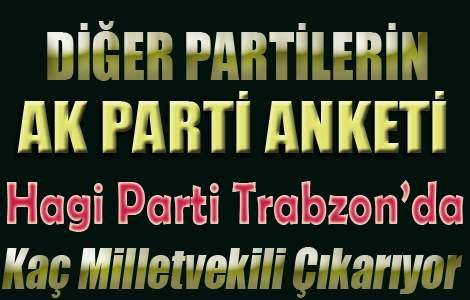 DER PARTLERN AK PART ANKET