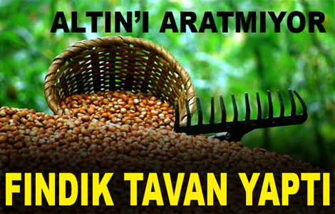 FINDIK 21.60 TLY GRD
