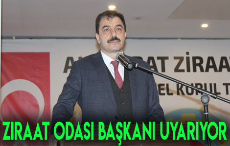 Fndk Bahelerinde Kozalak Akar in Mcadele Zaman

