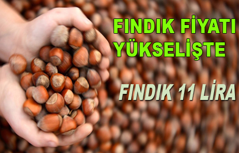Fndk Fiyat Haftaya 11 Liradan Balad.