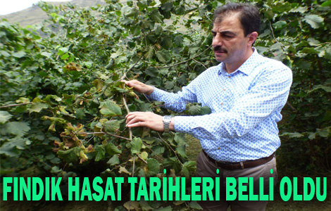 Fndk Hasat Tarihleri Belli Oldu
