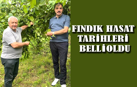FINDIK HASAT TARİHLERİ BELLİ OLDU