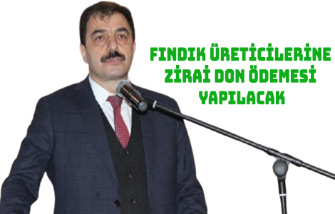 FINDIK ÜRETİCLERİNE ÖDEME YAPILACAK