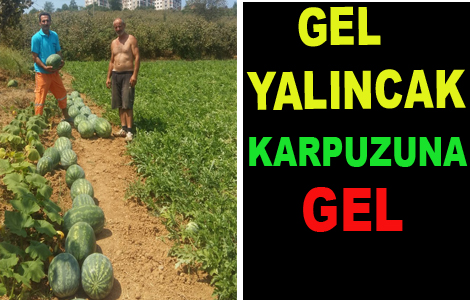 Gel yalncak karpuzuna gel