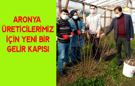 GELECEN N RET : ARONYA

