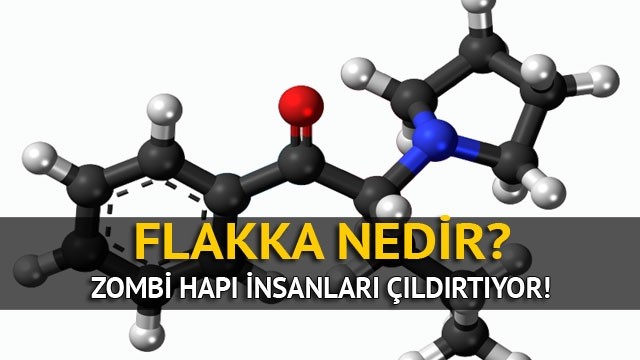 Genlerin Yeni Ba Belas Flakka

