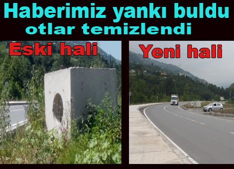 Haberimiz Ses Getirdi.