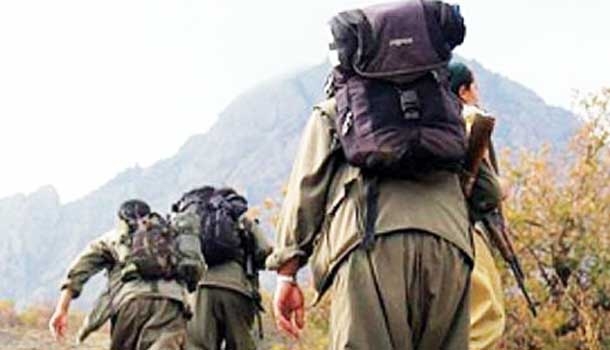 Hainler aç kaldı yaylada gasp yaptı