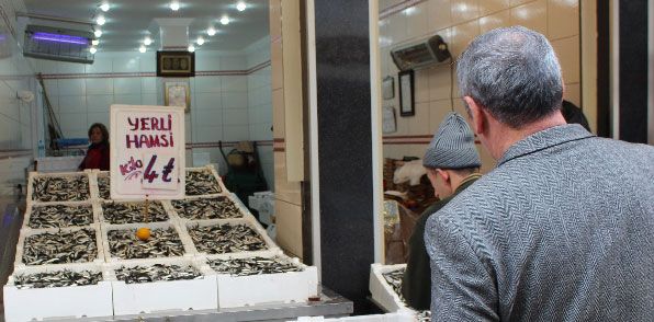 Hamsi fiyatn kendi belrliyor 
