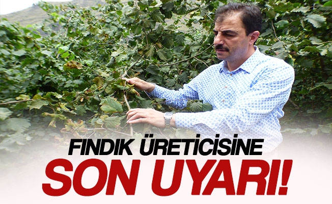 Hasat ncesi Fndk reticisine Son Uyar
