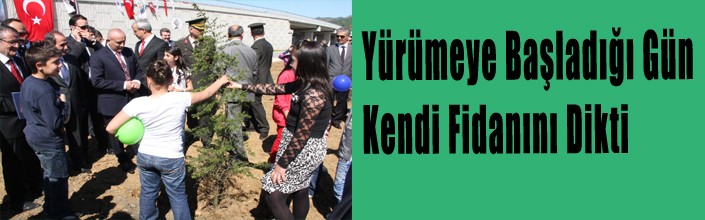 Hatra Ormanna Fidan Dikildi