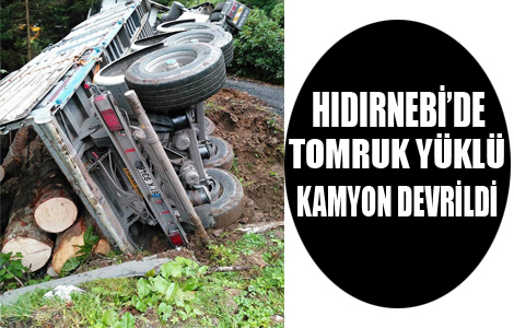 Hdrnebi'de Tomruk Ykl Kamyon Devrildi
