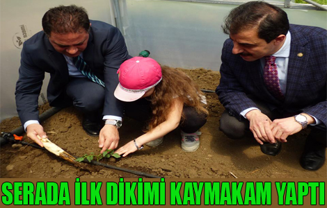 İLK DİKİMİ KAYMAKAM VE BAŞKAN YAPTI.