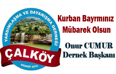 Y BAYRAMLAR DLERZ