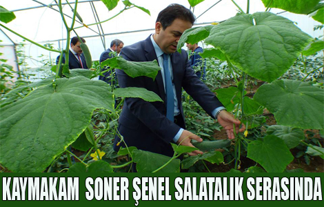 KAYMAKAM SALATALIK SERASINA GRD